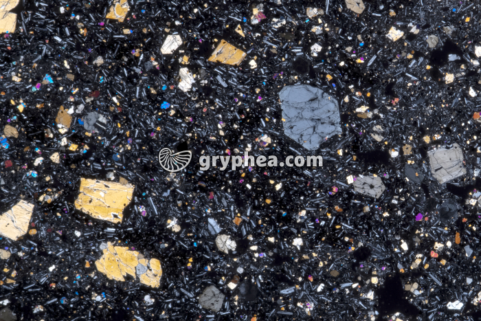 Basalte LPA x3 - gryphea.org